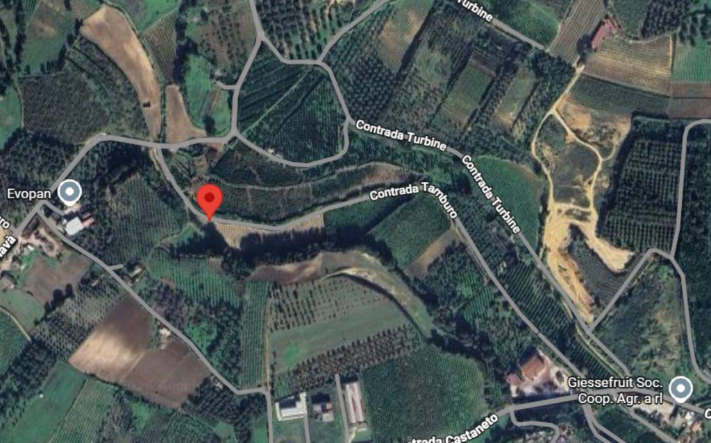 immagine annuncio 10 di 11