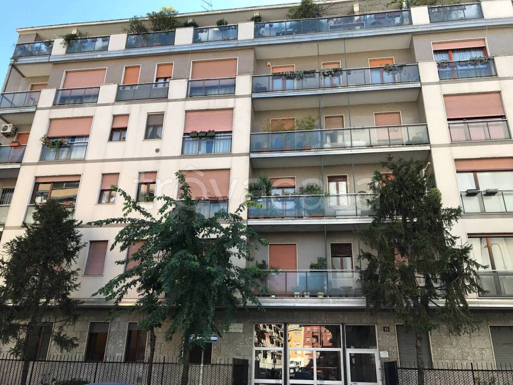 immagine annuncio 1 di 15