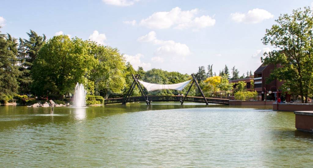 immagine annuncio 14 di 15