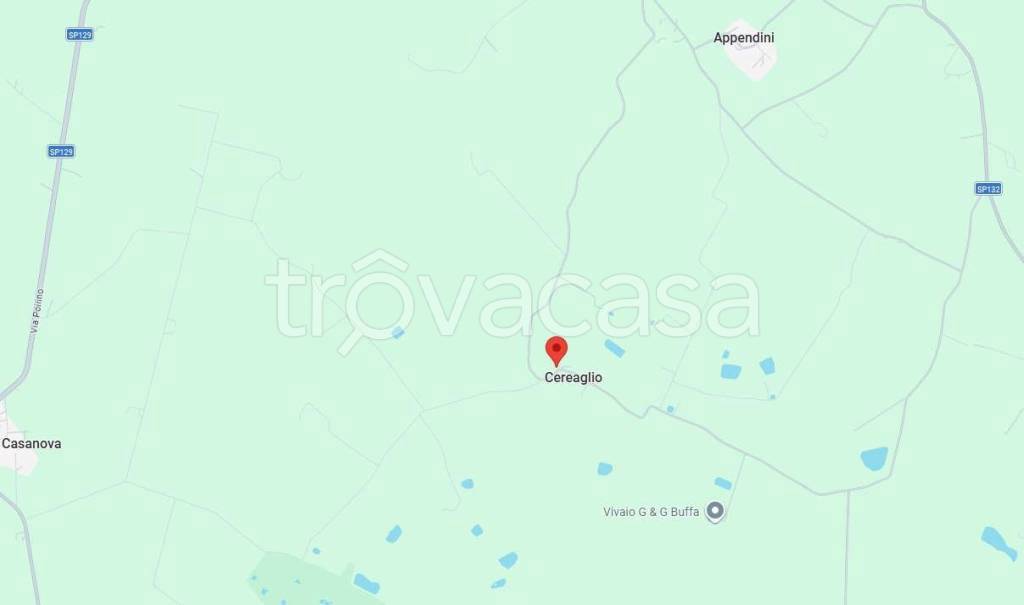 immagine annuncio 5 di 14