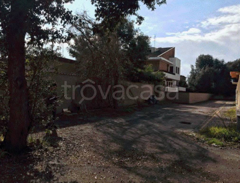 immagine annuncio 4 di 12