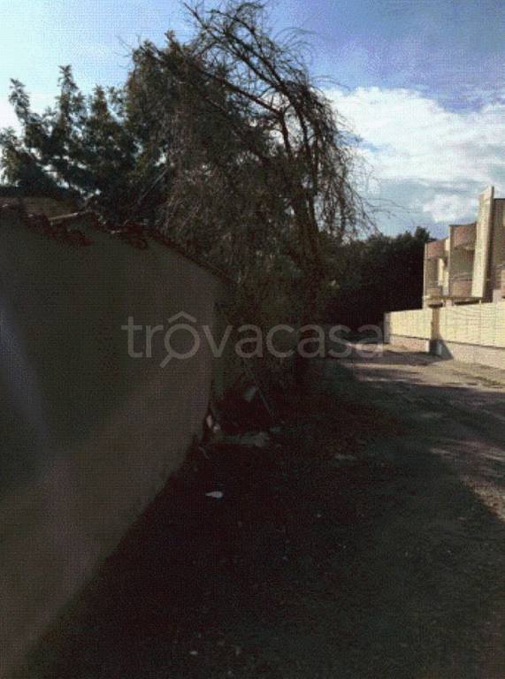 immagine annuncio 5 di 12