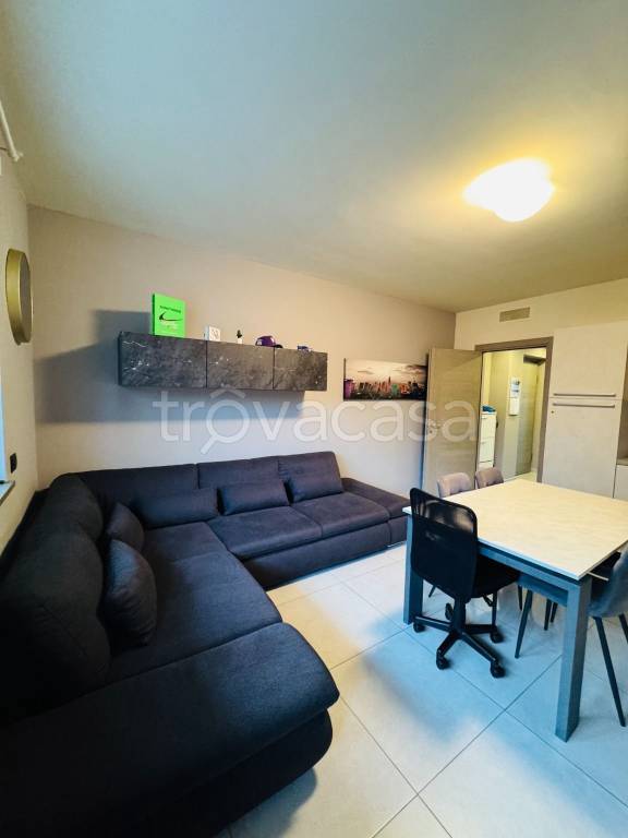 immagine annuncio 5 di 14