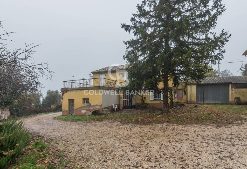 immagine annuncio 6 di 12