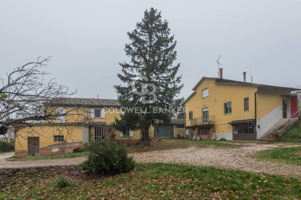 immagine annuncio 7 di 12