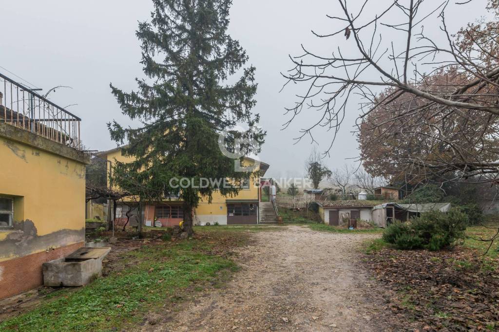 immagine annuncio 11 di 12