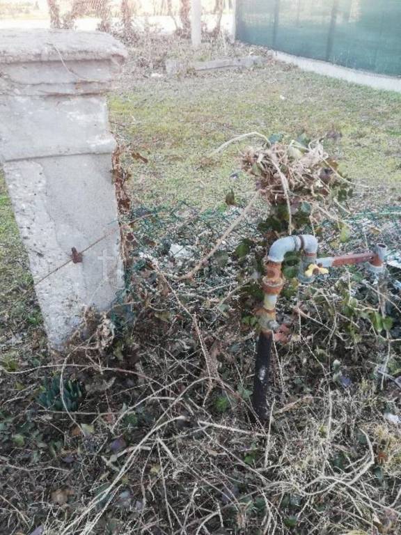 immagine annuncio 7 di 13