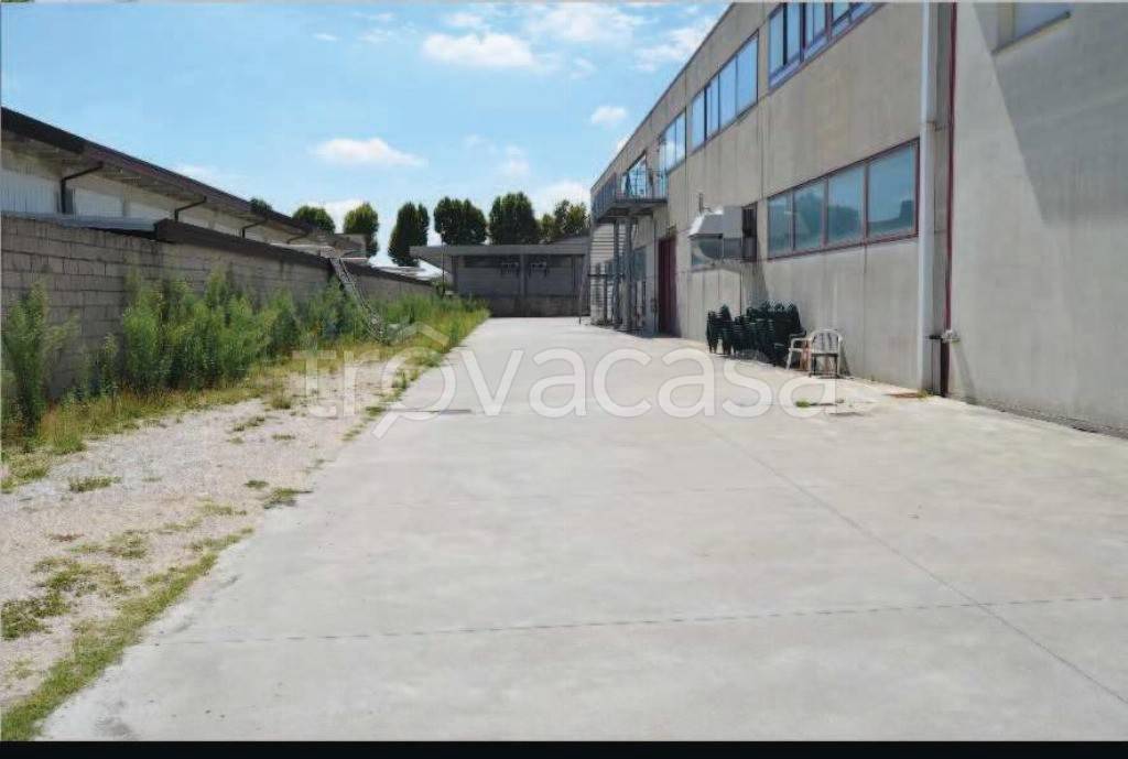 immagine annuncio 2 di 8