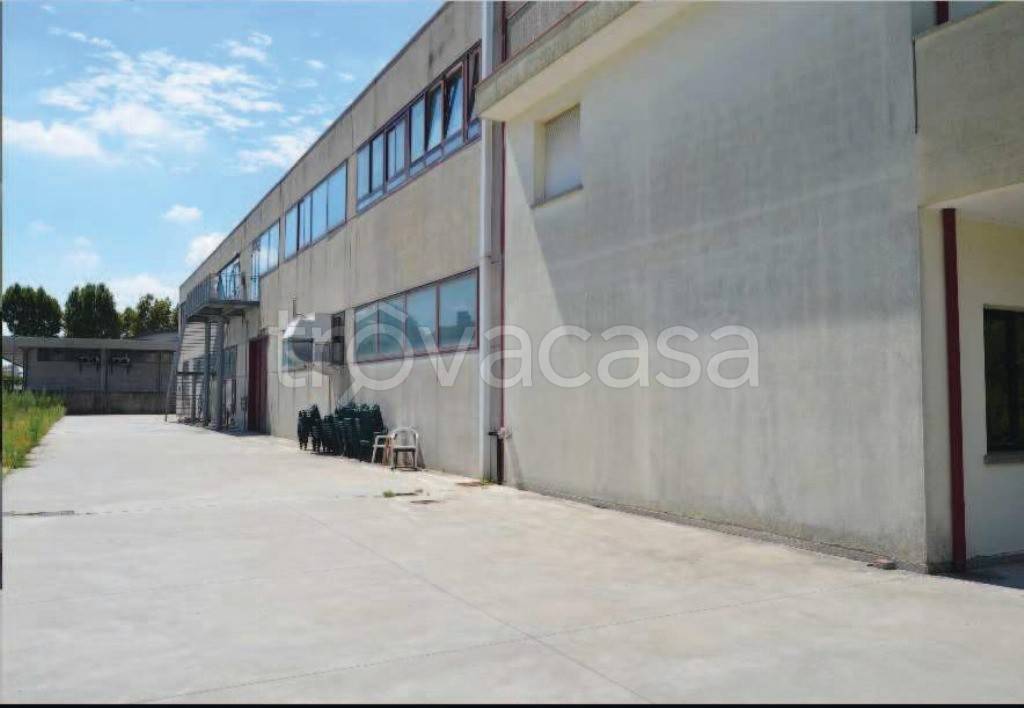 immagine annuncio 3 di 8