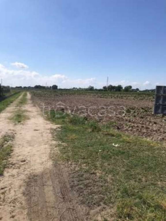 immagine annuncio 1 di 8