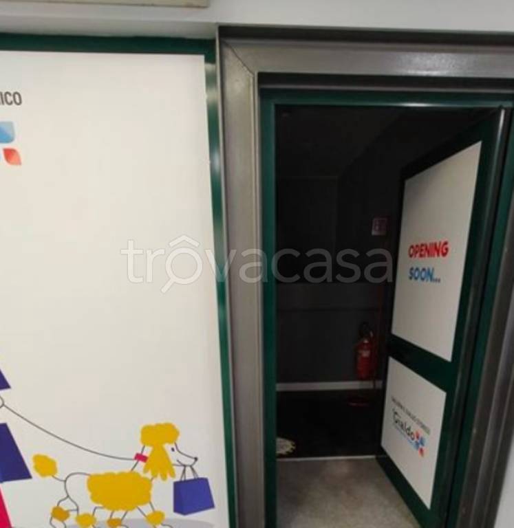 immagine annuncio 3 di 11