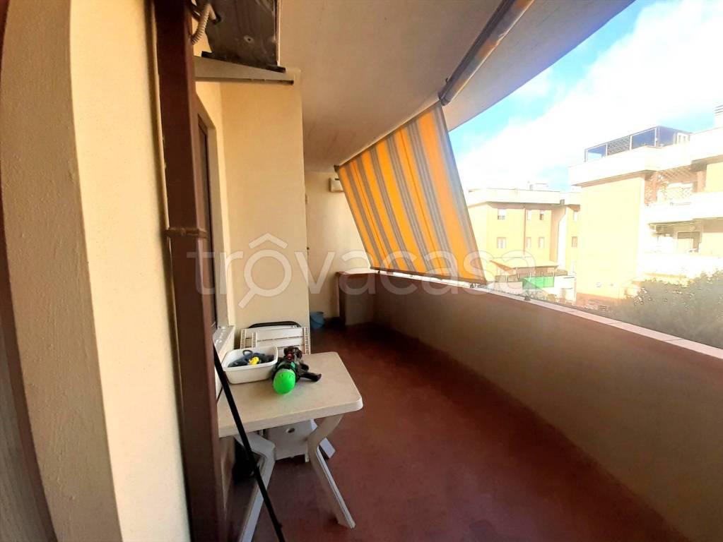 immagine annuncio 1 di 12