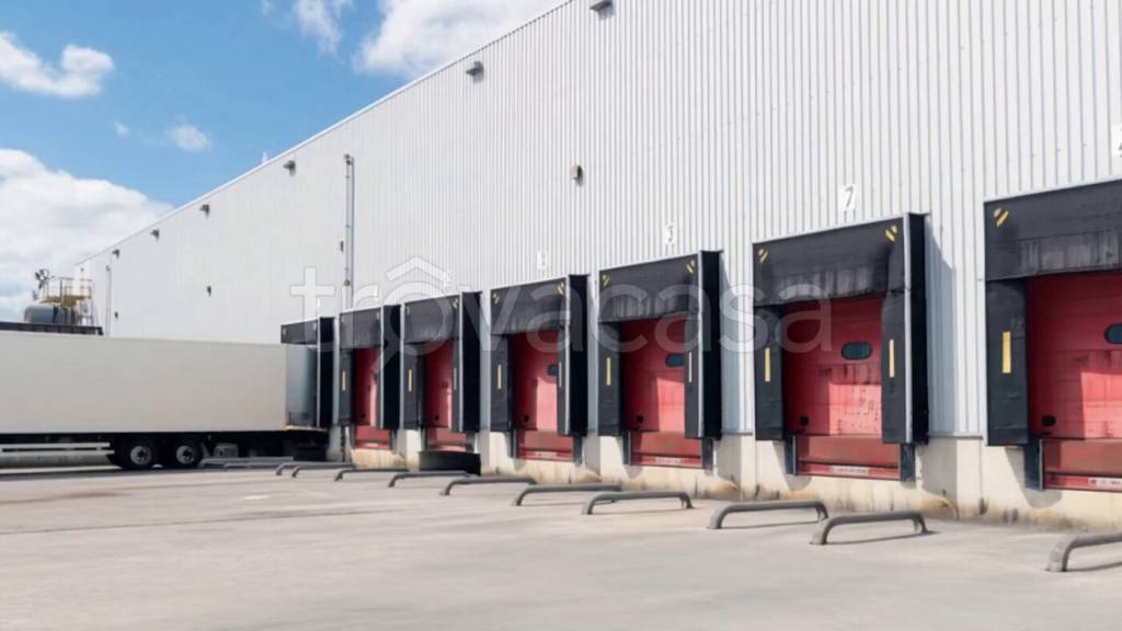 immagine annuncio 3 di 12