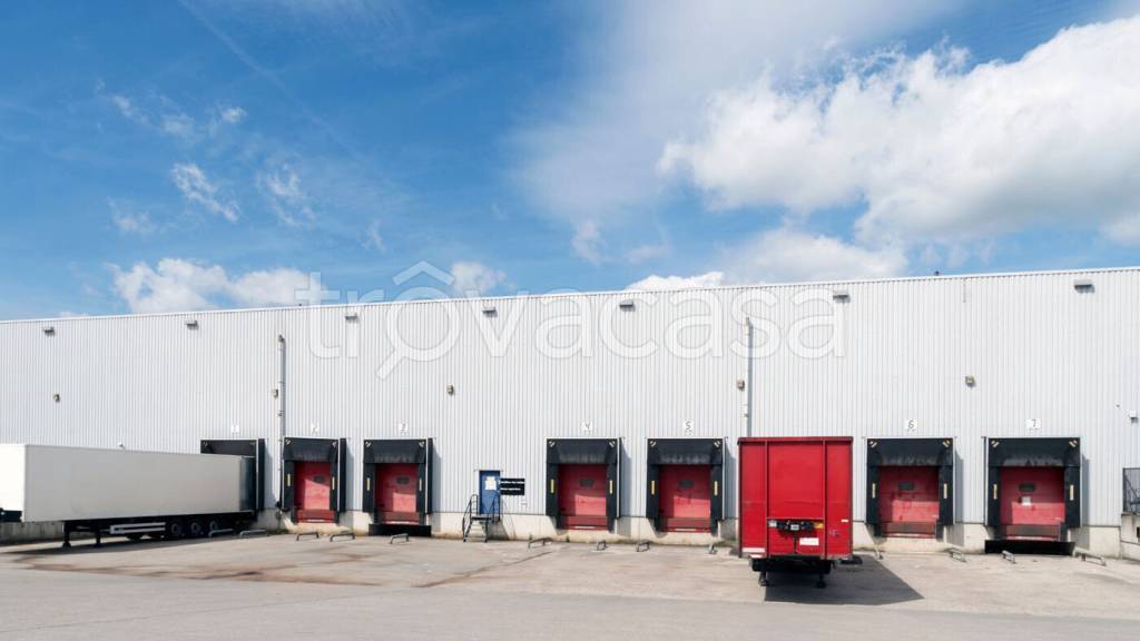 immagine annuncio 4 di 12