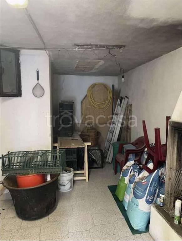 immagine annuncio 10 di 12