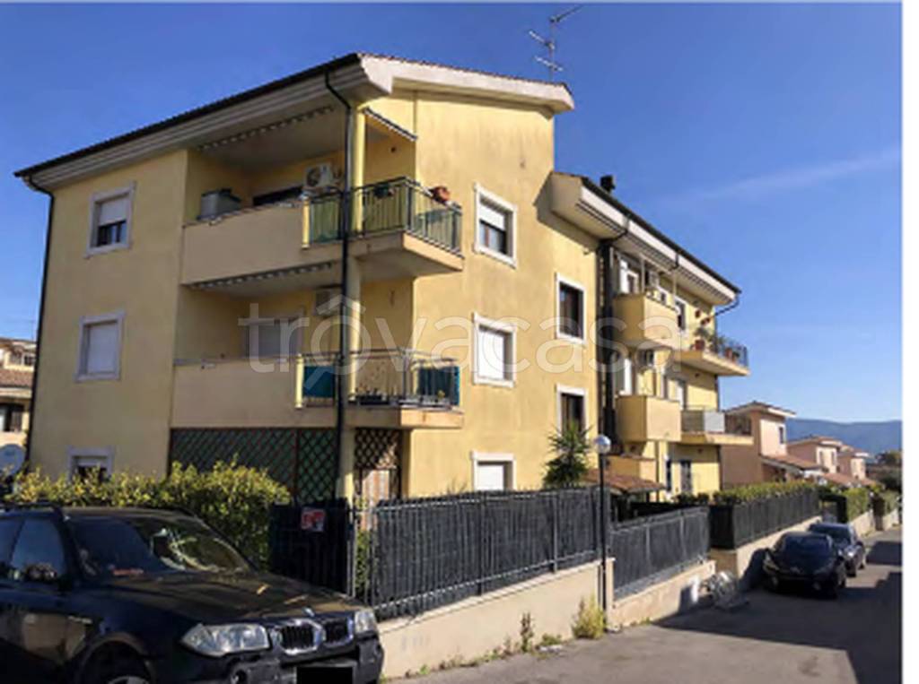 immagine annuncio 4 di 13