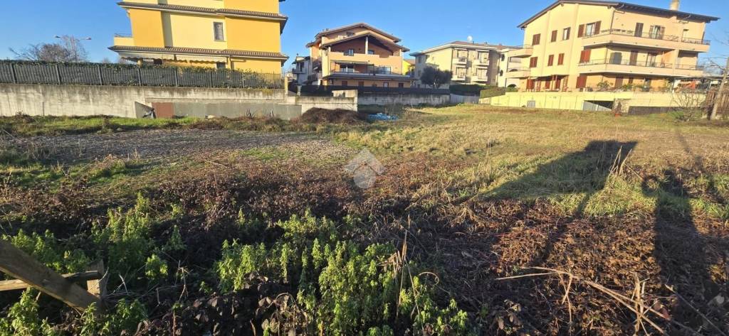 immagine annuncio 4 di 9