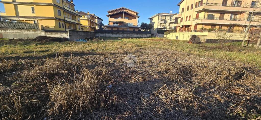 immagine annuncio 7 di 9