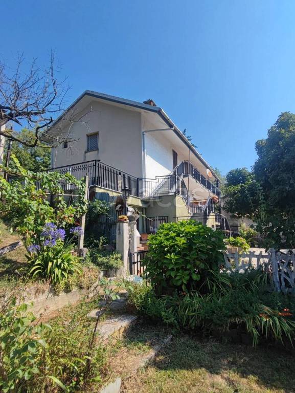 immagine annuncio 3 di 14