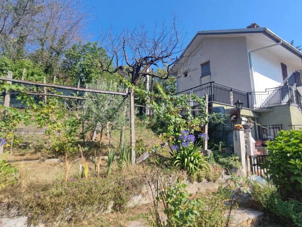 immagine annuncio 4 di 14