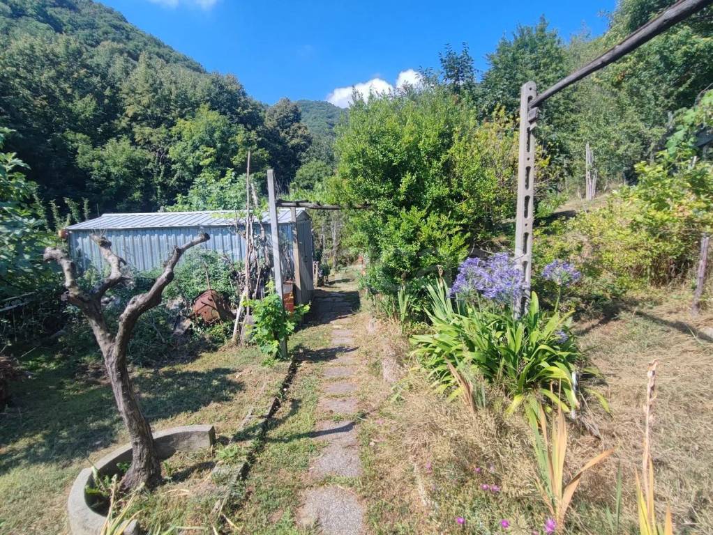 immagine annuncio 6 di 14