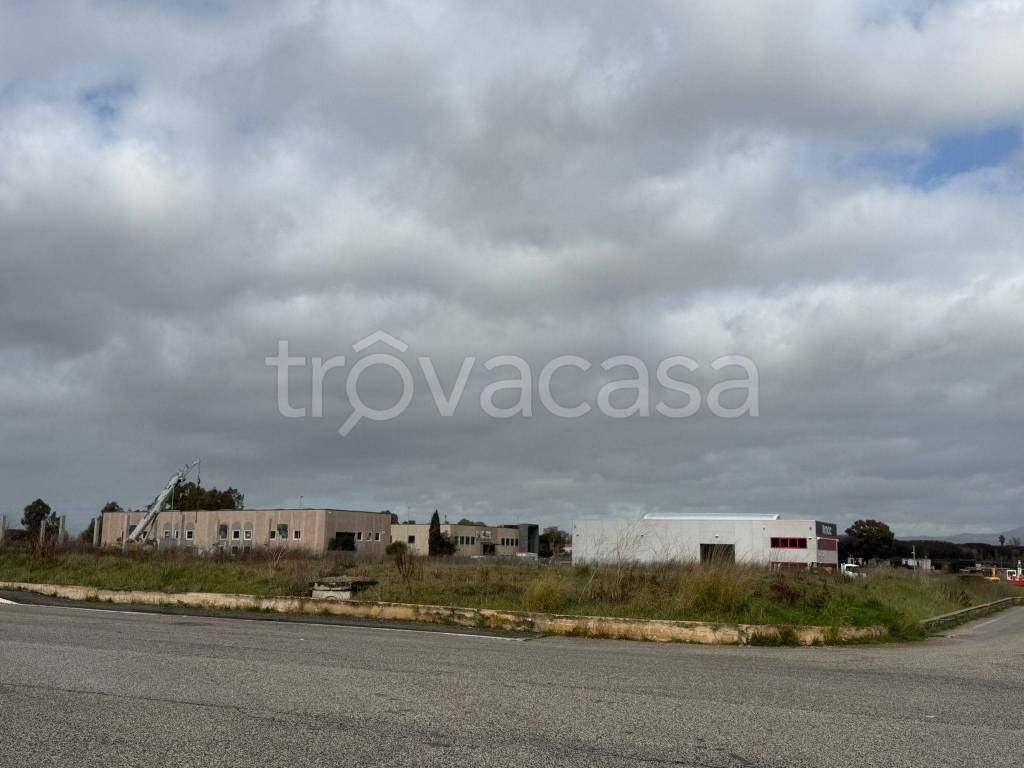 immagine annuncio 4 di 12