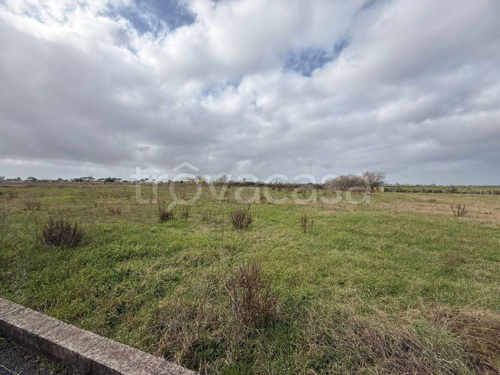 immagine annuncio 6 di 12