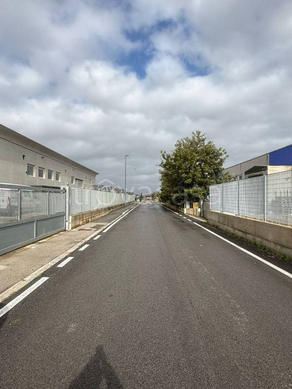 immagine annuncio 8 di 12