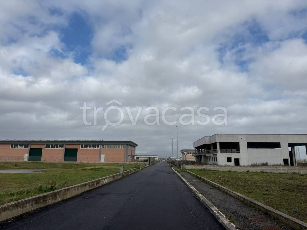 immagine annuncio 9 di 12