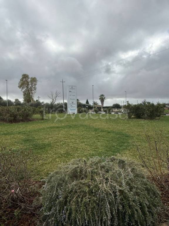 immagine annuncio 11 di 12