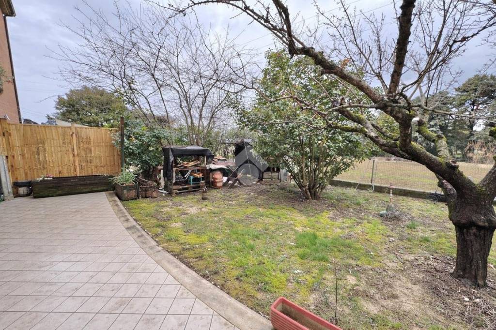 immagine annuncio 3 di 15