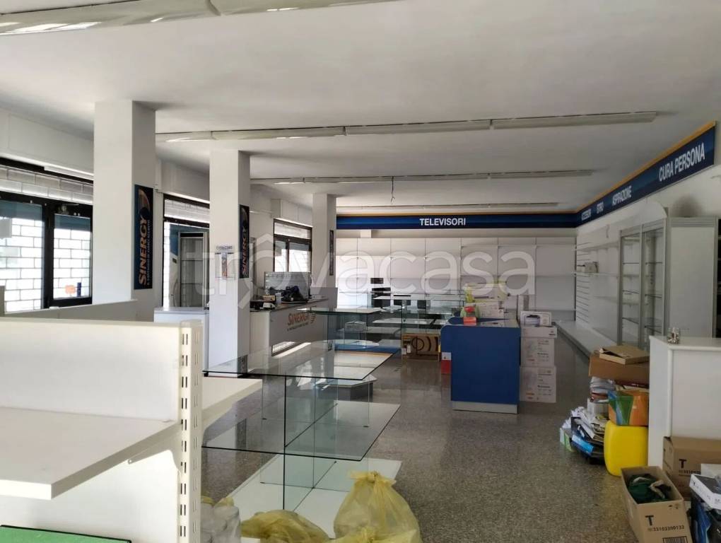 immagine annuncio 1 di 6