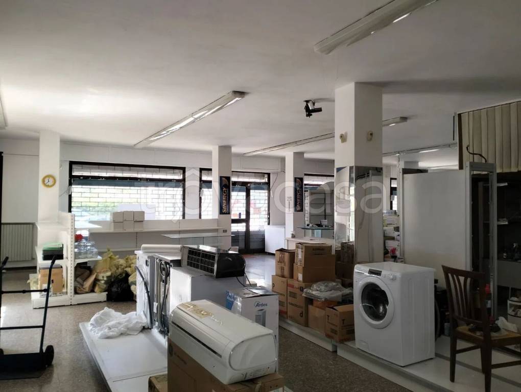 immagine annuncio 3 di 6