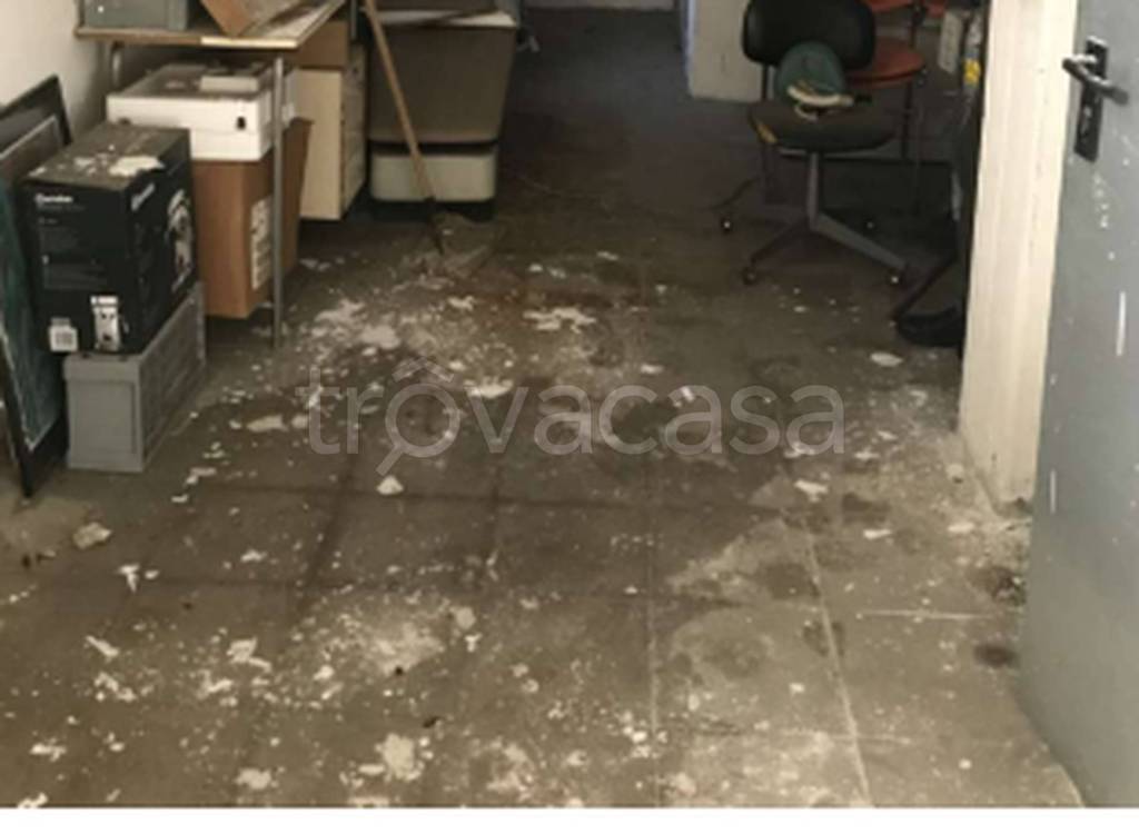 immagine annuncio 3 di 9