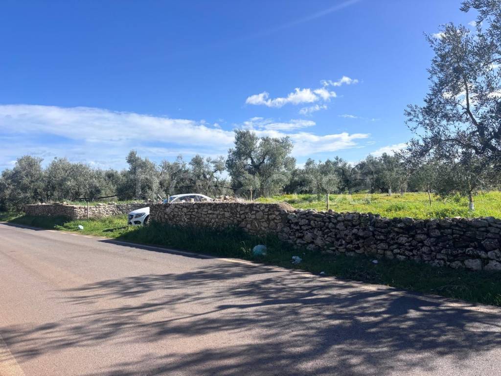 immagine annuncio 1 di 3