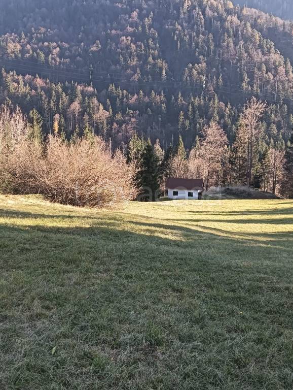 immagine annuncio 7 di 8