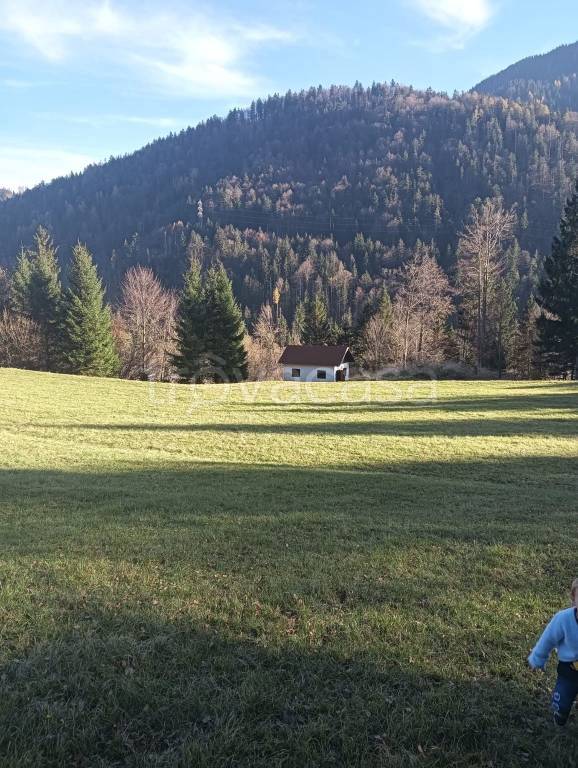 immagine annuncio 3 di 8