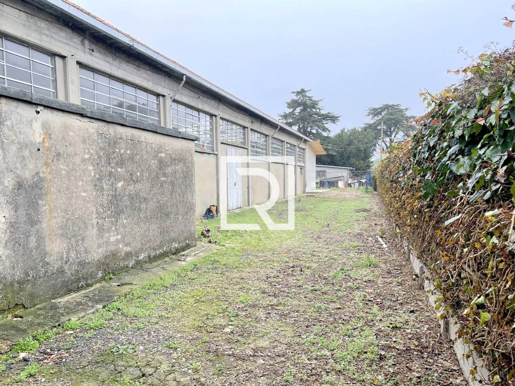 immagine annuncio 12 di 15