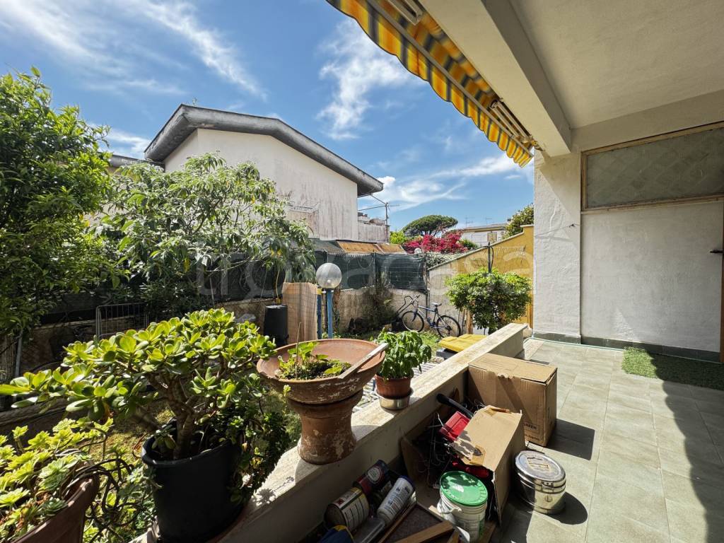 immagine annuncio 9 di 11