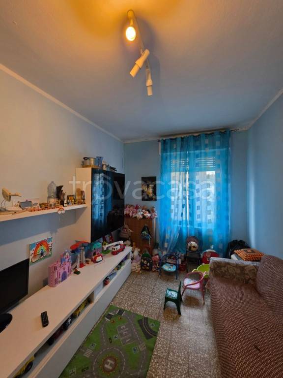 immagine annuncio 6 di 13