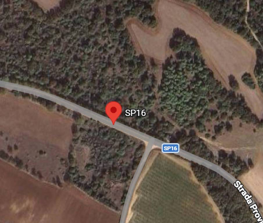 immagine annuncio 3 di 12