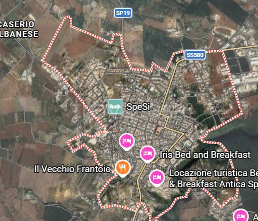 immagine annuncio 6 di 12