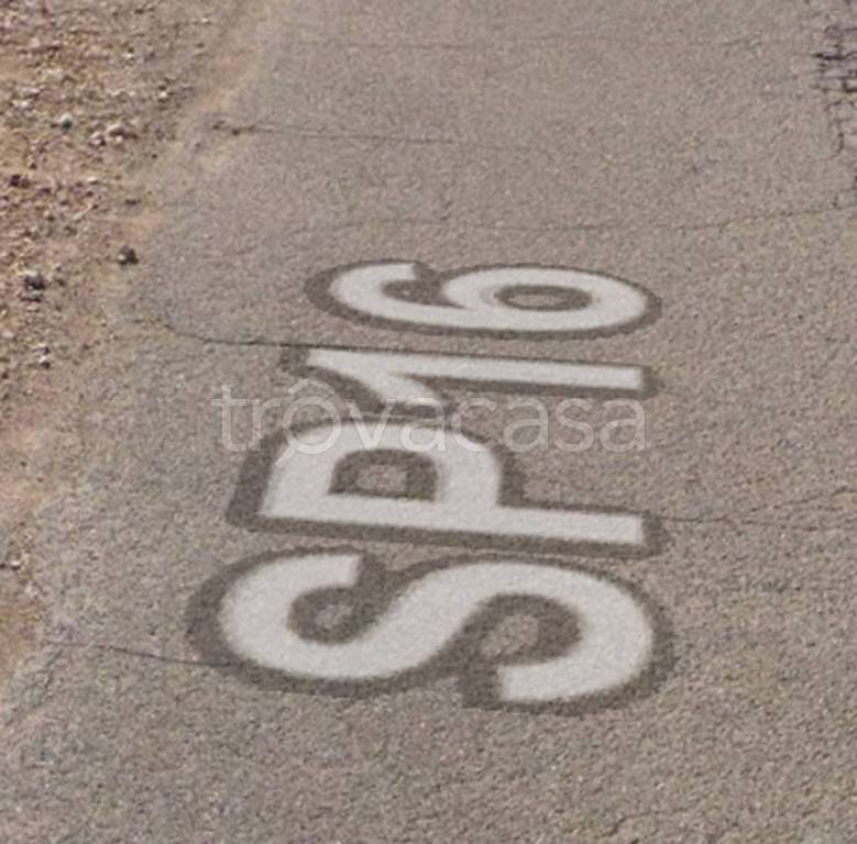 immagine annuncio 9 di 12