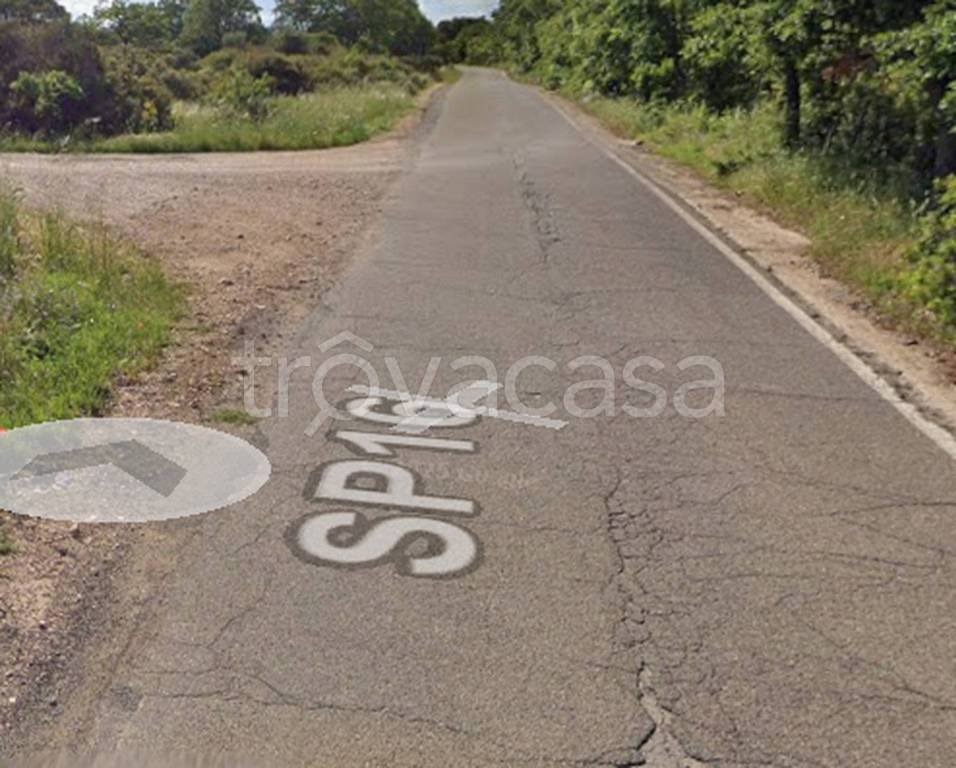 immagine annuncio 11 di 12