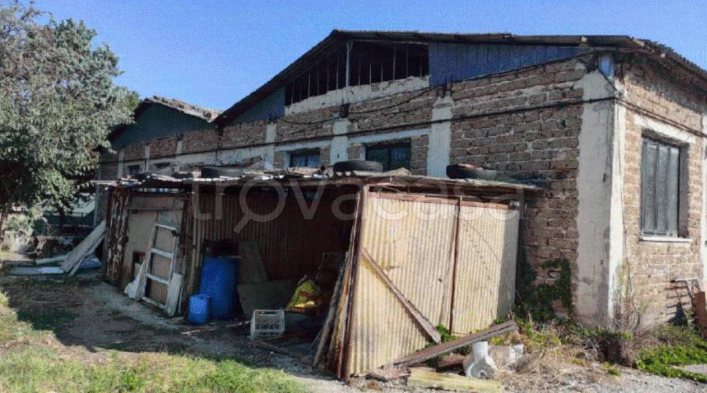 immagine annuncio 7 di 11