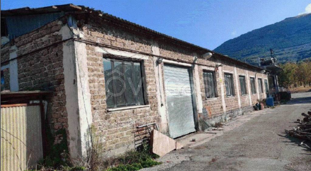 immagine annuncio 8 di 11