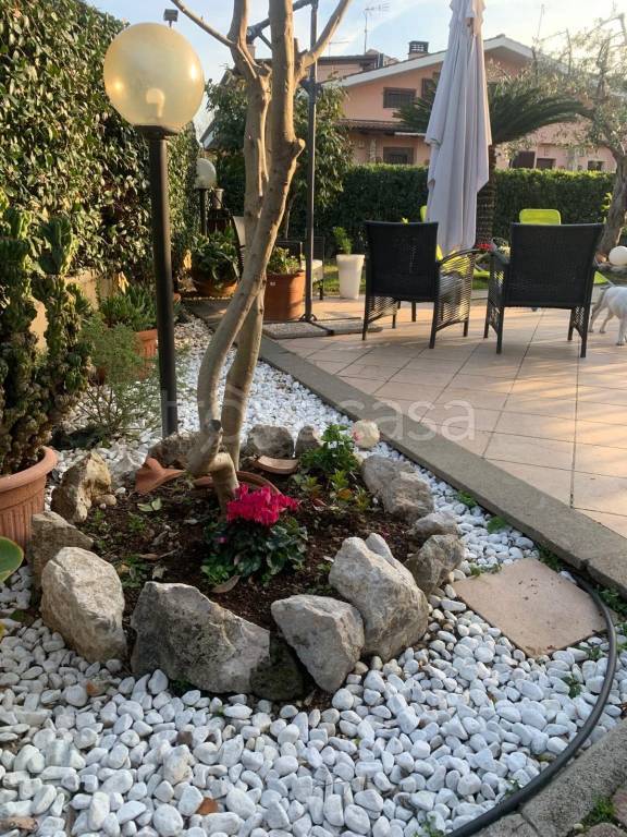 immagine annuncio 9 di 15