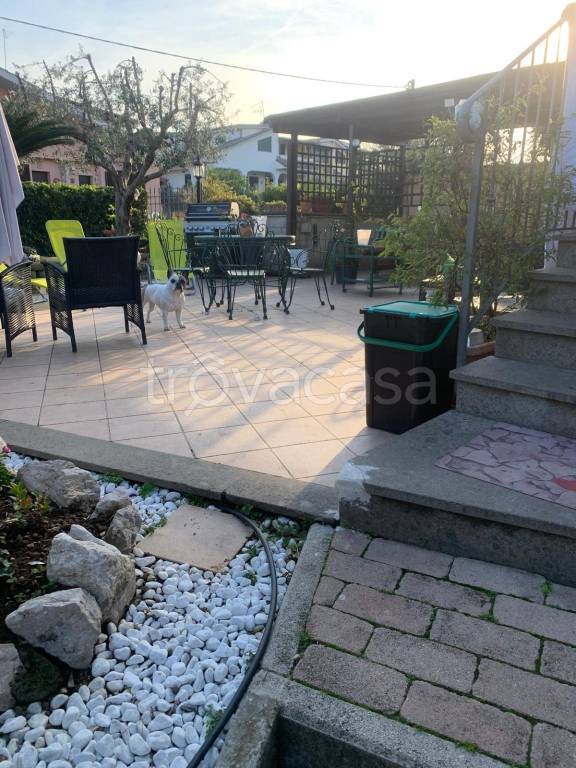 immagine annuncio 8 di 15