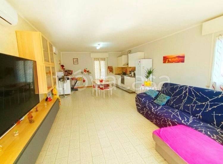 immagine annuncio 5 di 8