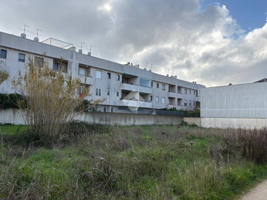 immagine annuncio 2 di 3